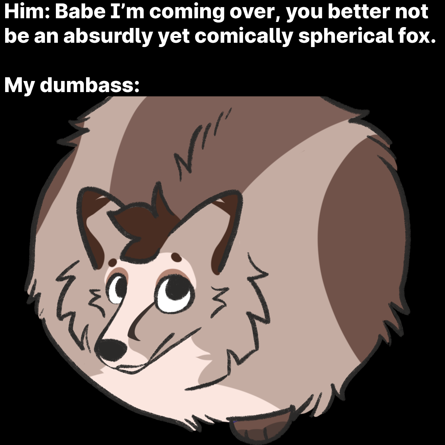 Spherical Vizion